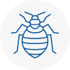 Bed Bug Extermination In Tottenham