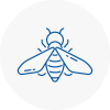 Bee Nest Removal Tottenham