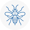 Tottenham Hornet Nest Removals