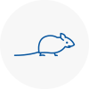 Mice Exterminators In Tottenham