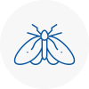Moth Control Specialists In Tottenham