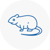 Rat Control Tottenham