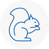 Tottenham Rodent Removals