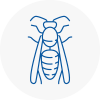 Tottenham Wasp Nest Removal